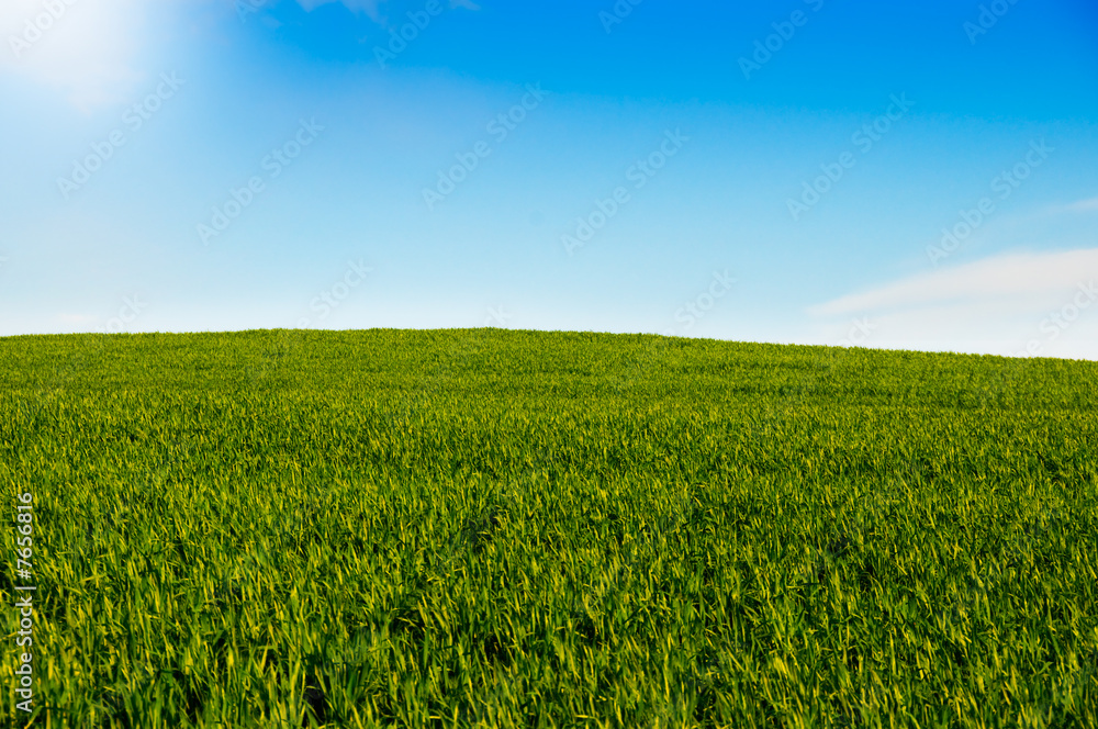Landsacape of green hills and blue sky