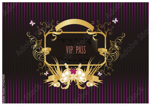 entrada vip en vector