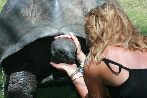 tortue des Seychelles photo