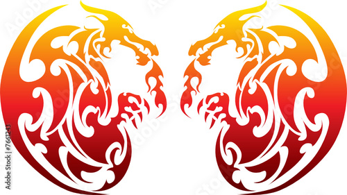 Dragon Face to face