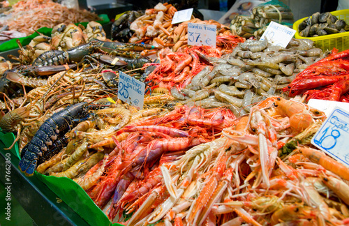 Great quantity of fresh seafood