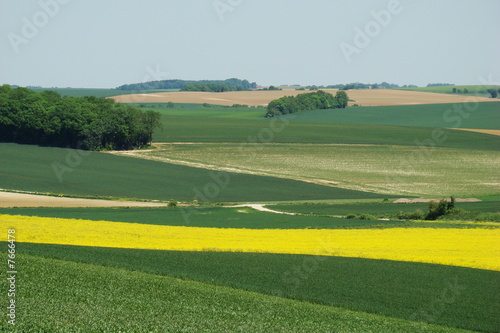 Cultures de colza et de blé,Aisne,Picardie