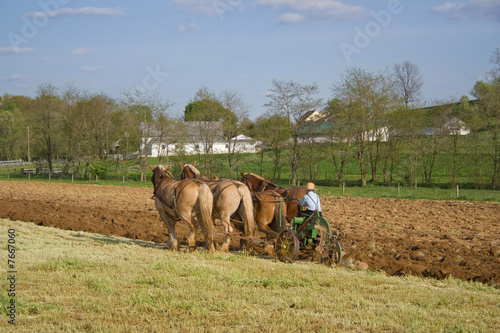 фотографія Plowing with Horses