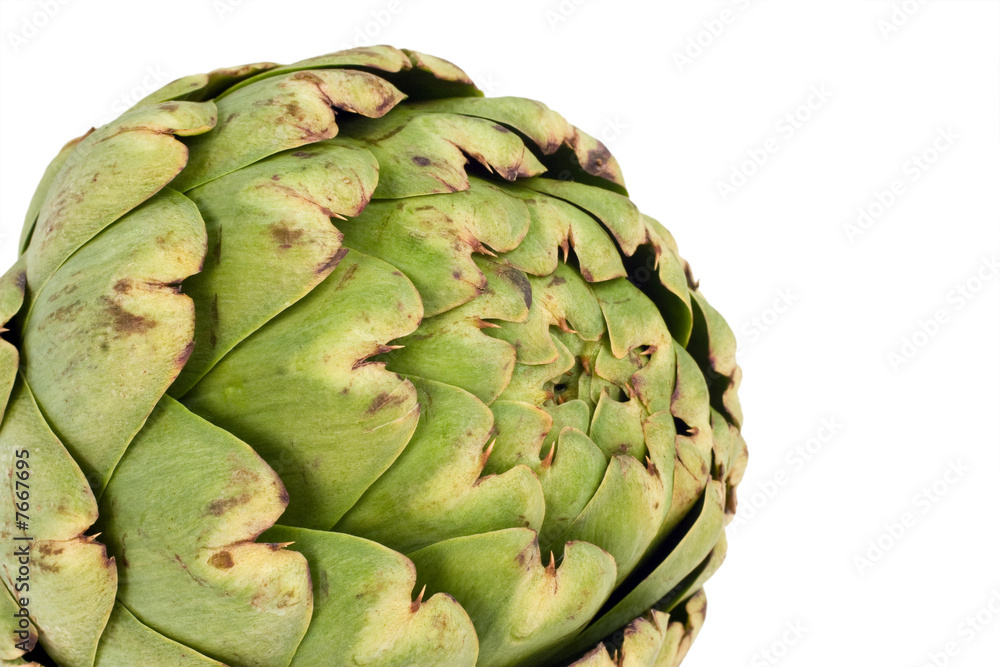 Obraz premium Globe Artichoke