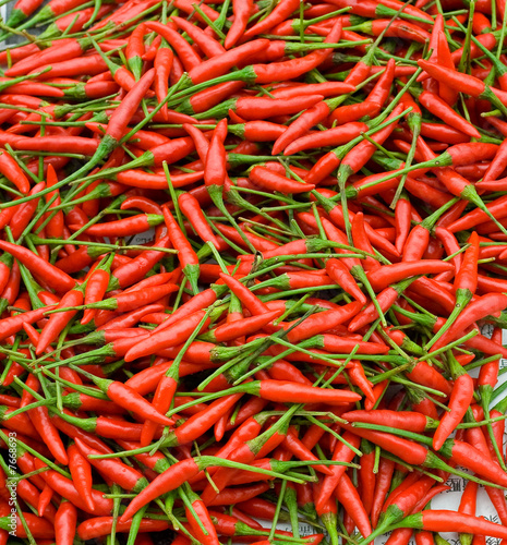 Hot pepper