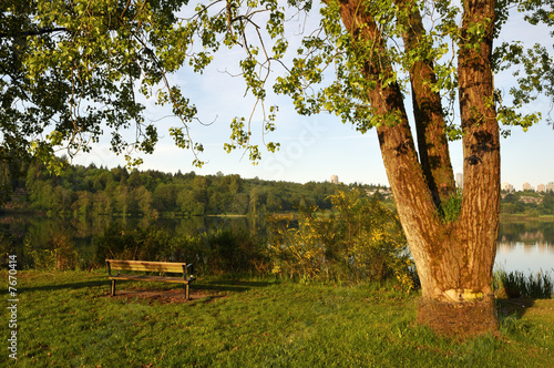 morning at deer lake park, burnaby, bc