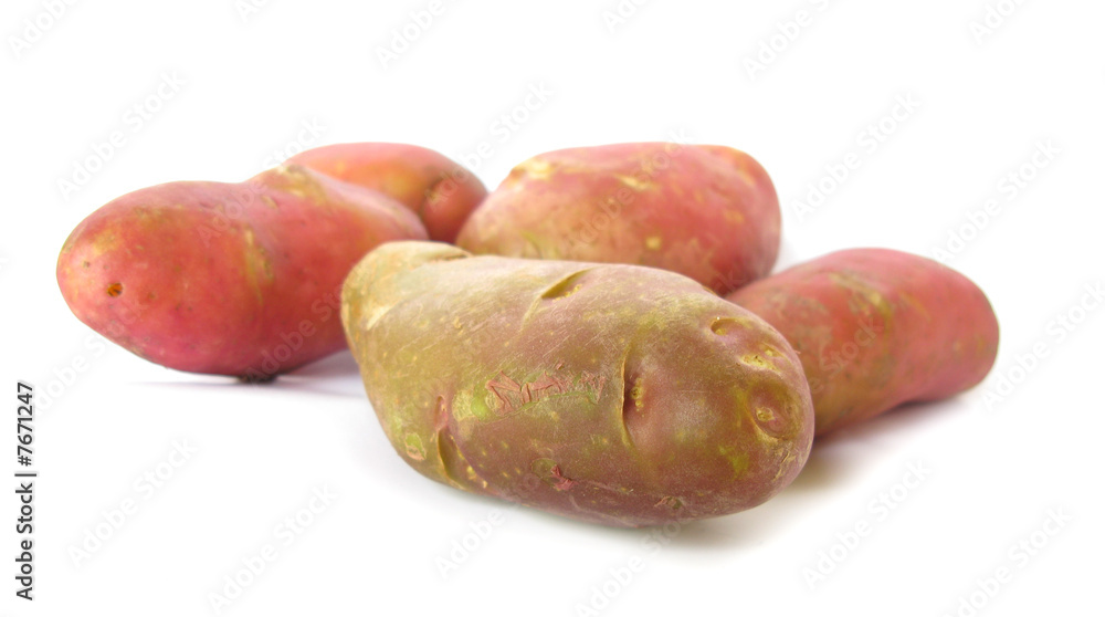 Potatoes isolated on white background Potatoes isolated on white background