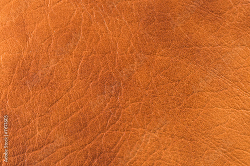 Wallpaper Mural Natural leather texture Torontodigital.ca