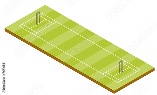 Cricket Pitch - Isometric View