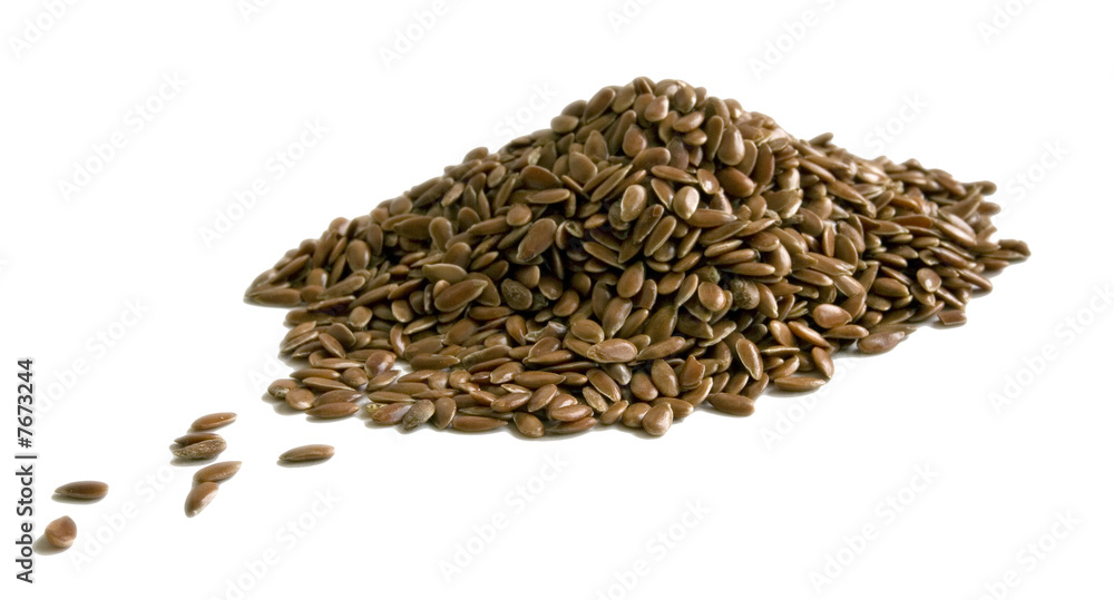 seed seed