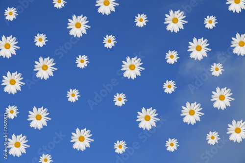 Fototapeta Naklejka Na Ścianę i Meble -  Himmel mit Blüten