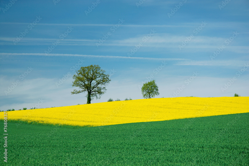 Obraz premium Landschaft im Frühjahr