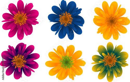 Vektorblumen