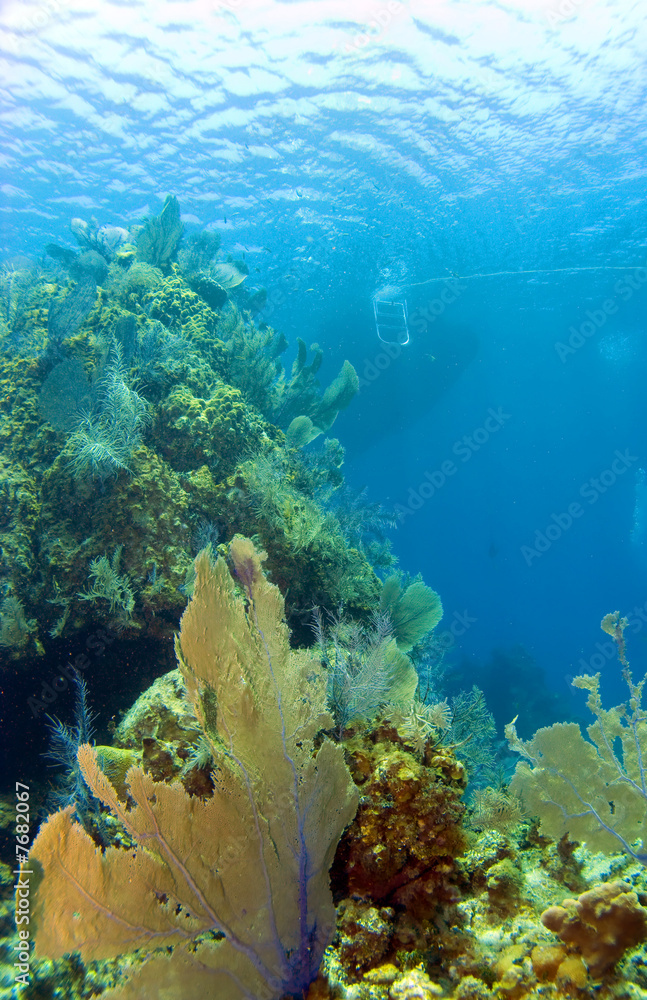 Naklejka premium Cayman Brac Reef with Boat