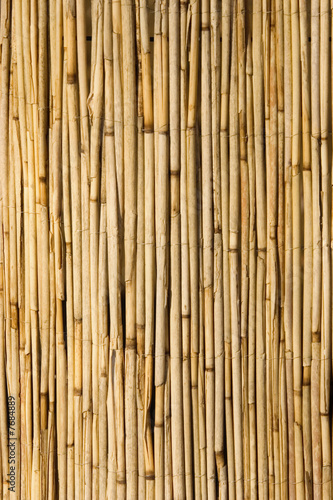 bamboo screen - close-up - adobe RGB