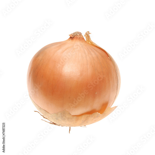 Wallpaper Mural Onion Torontodigital.ca