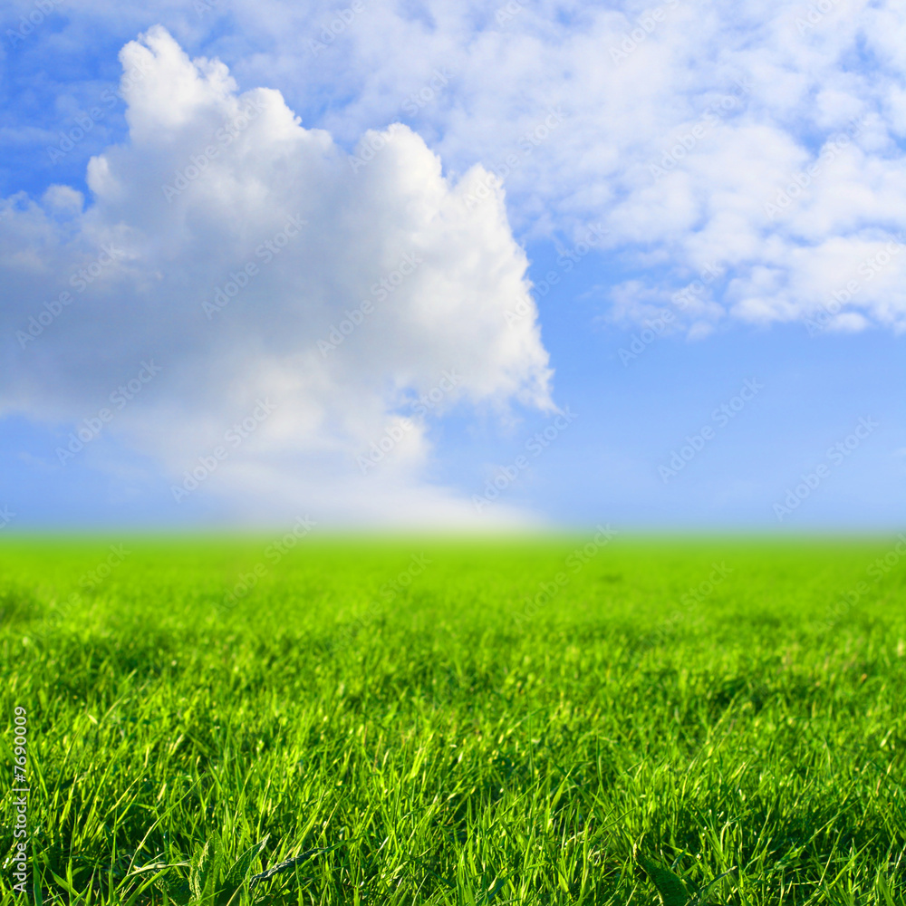 Obraz premium sky grass field