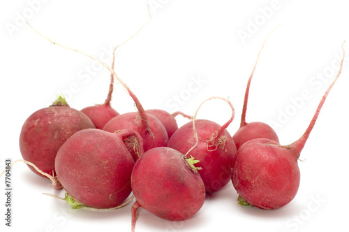 radish on white background