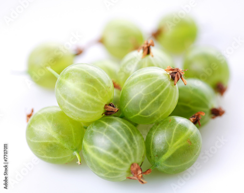 gooseberry