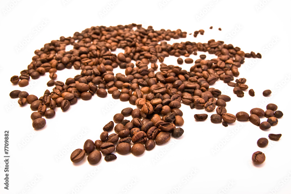 coffee beans on white background