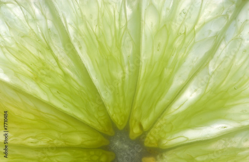 Close up of a Slice of Lime