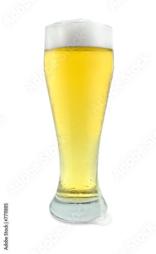 Tall Glass of Beer on White