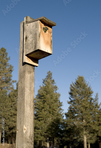 Bird House with Finch on a Pole