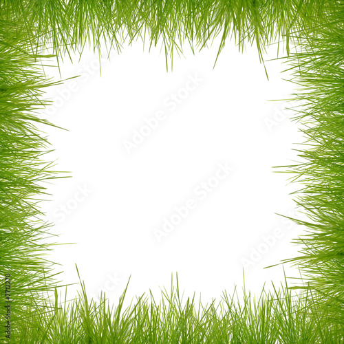 Gras