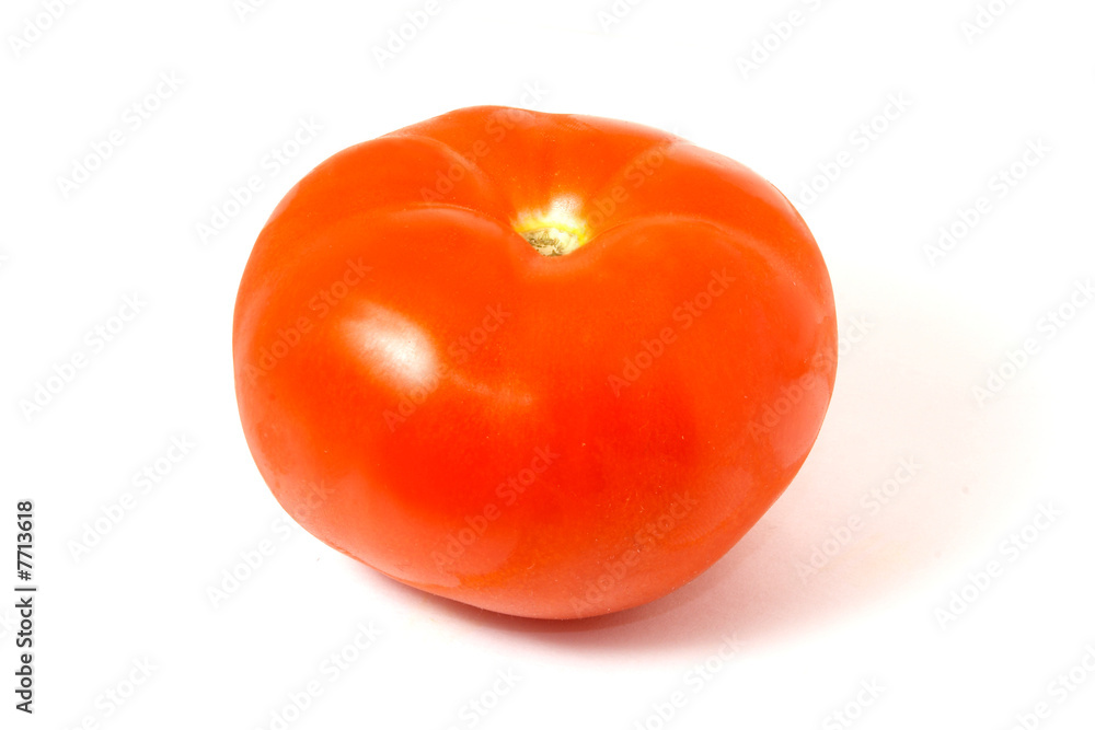 Tomato 7