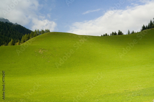 Fototapeta Naklejka Na Ścianę i Meble -  Meadow with blue cloudy sky