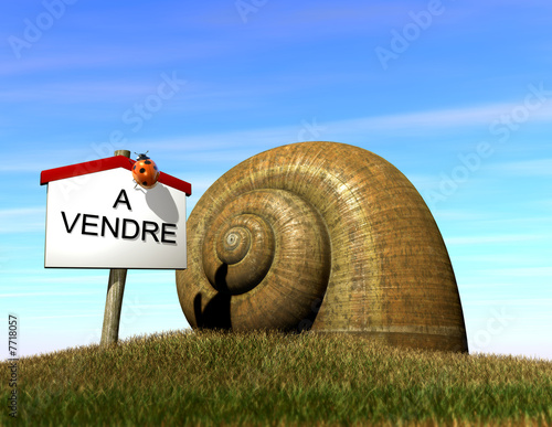 A vendre photo