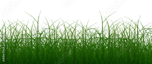 Wallpaper Mural Gras 14 Torontodigital.ca