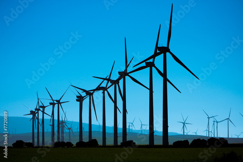 renewable energy