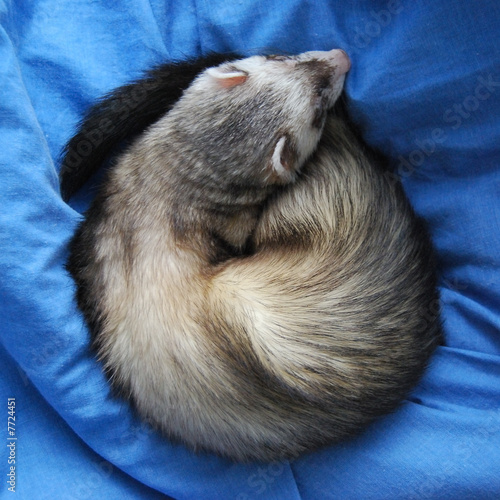 sommeil