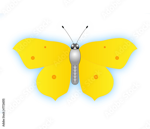 Schmetterling - gelb mit bluaem Schein