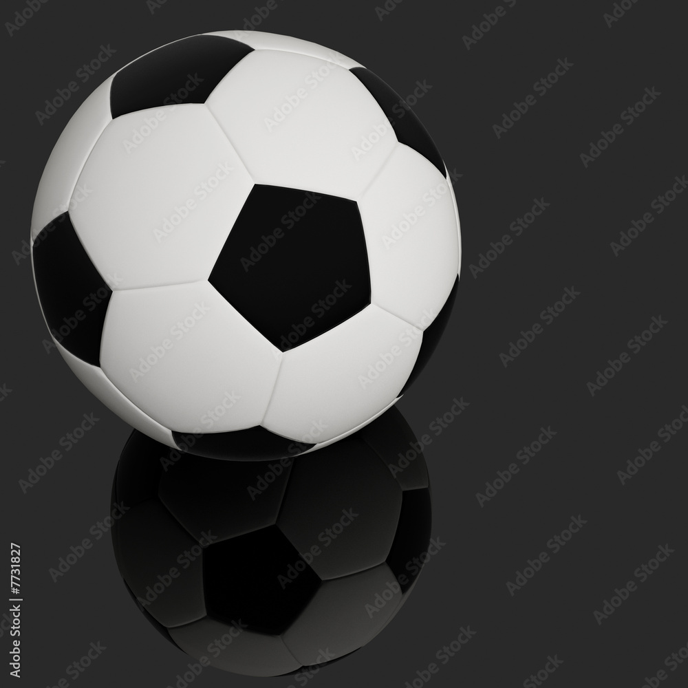 Fototapeta premium classic soccer ball