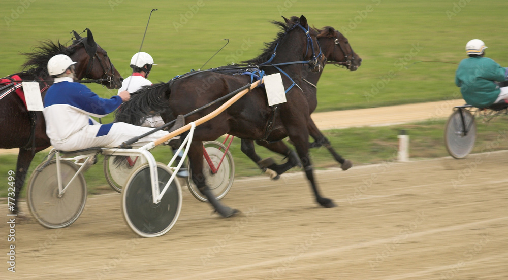 on the horse track on the horse track