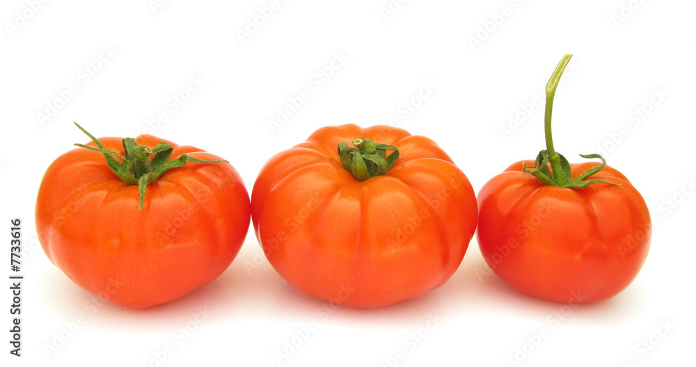 Tomatoes perfect isolated on white background Tomatoes perfect isolated on white background