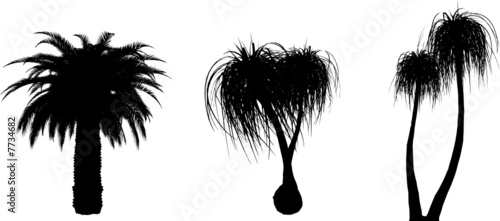 3 vector tropical palms and trees