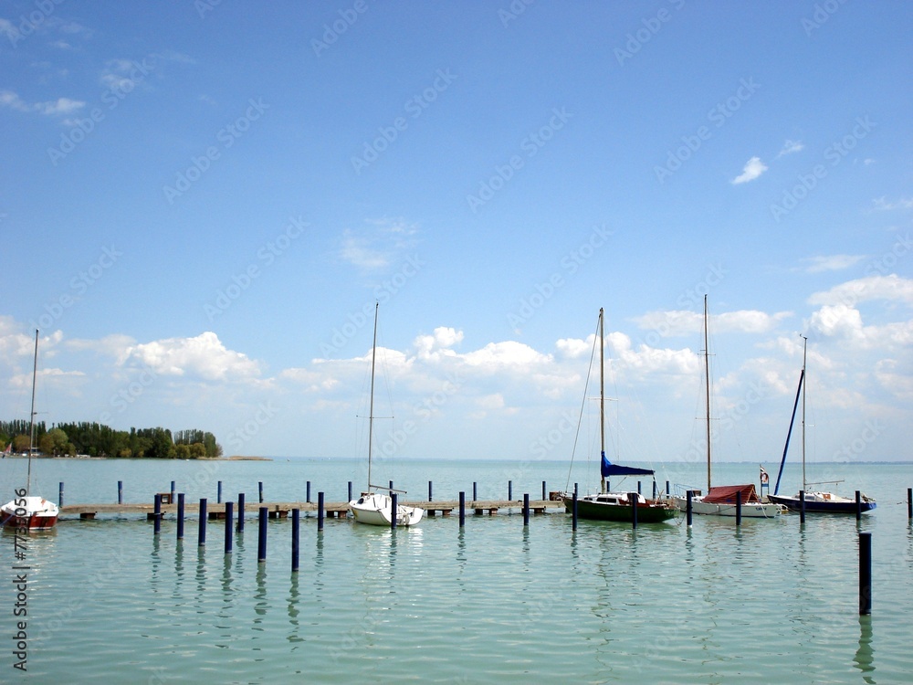 sailing boats in the marina