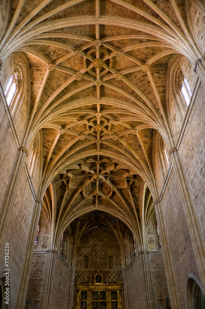 Principal dome and altar of San Marcos Convent. Leon, Spain