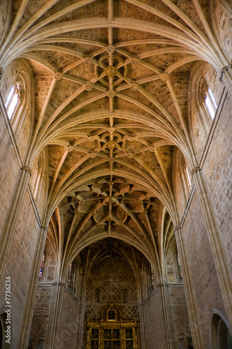 Principal dome and altar of San Marcos Convent. Leon, Spain photo