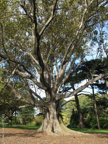 Fitzroy Gardens, Melbourne, Australia