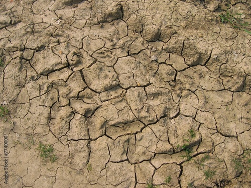 cracked earth