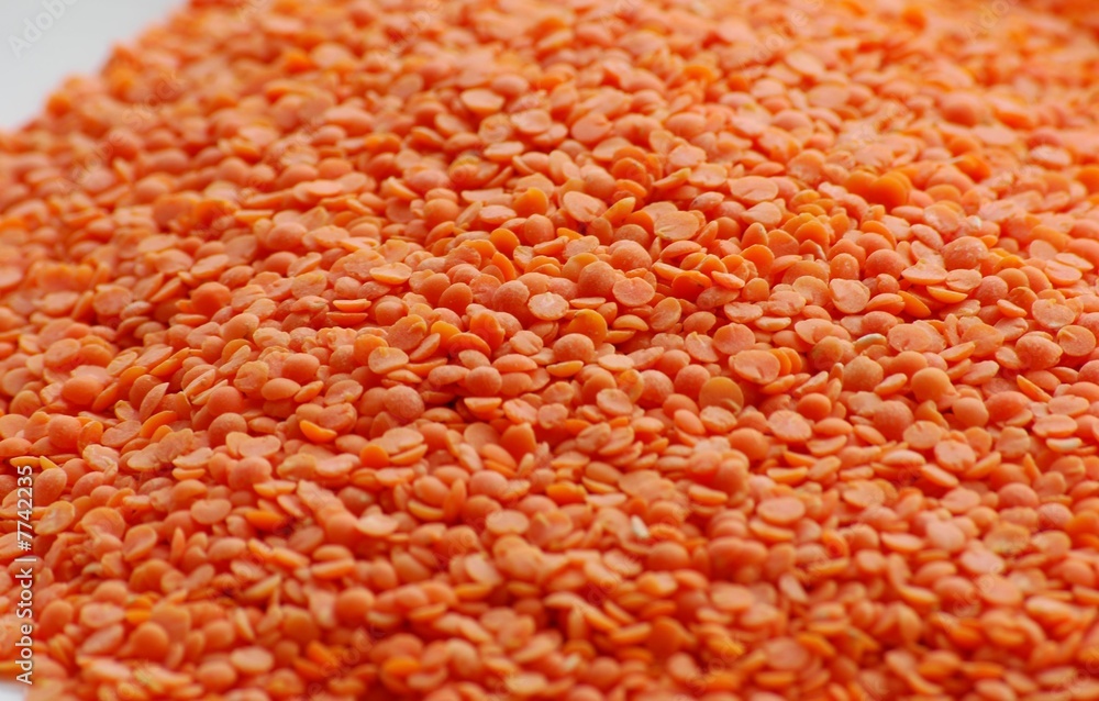 lentils lentils