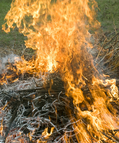 Burning Wood Pile
