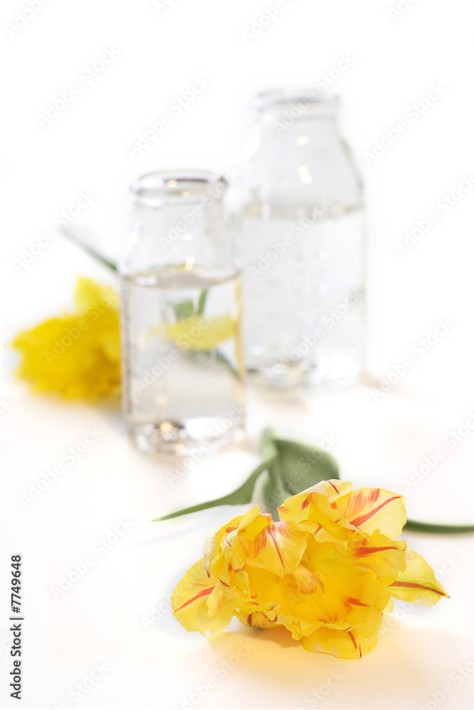 two bottles with flowers two bottles with flowers