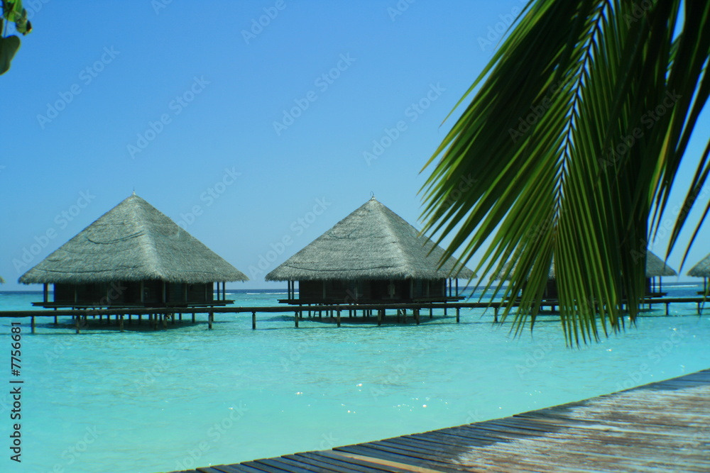Maldives Maldives