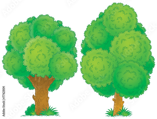 Trees