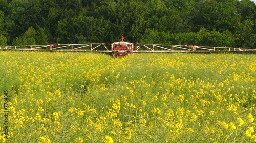 Pulvérisation de pesticides sur colza